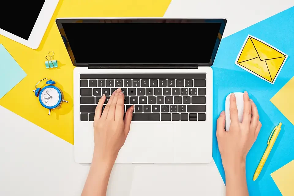 Searching Process How to Search Like a Pro