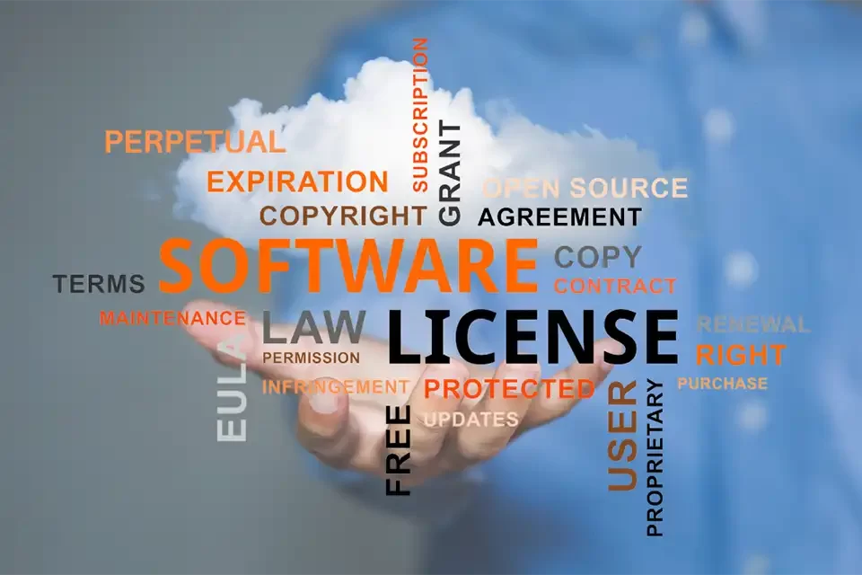 Understanding the Essence of Licensed Software